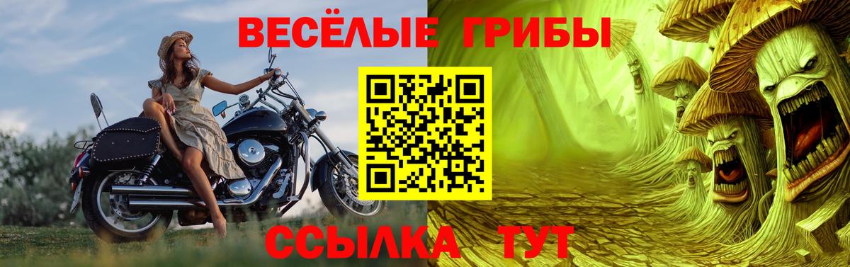 как найти   Псилоцибиновые грибы мицелий  Заринск  Вход с VPN  Псилоцибиновые грибы Cubensis 